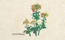 花シリーズ4